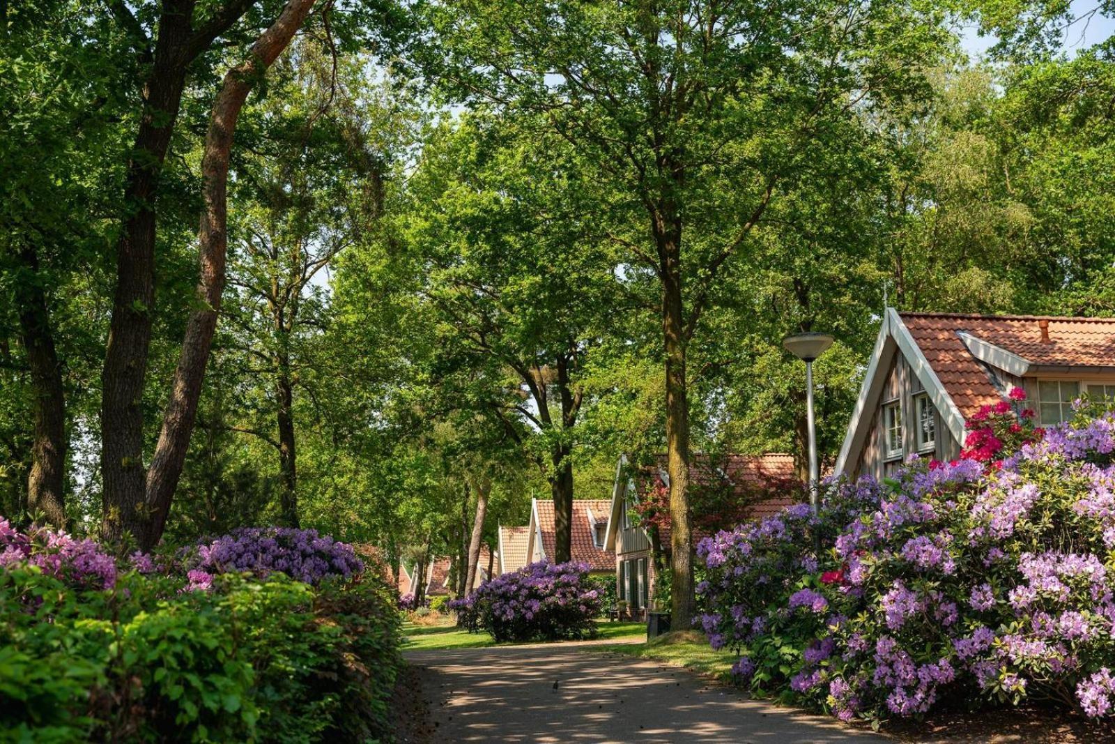 Вилла De Bosuil Hoge-Hexel Экстерьер фото